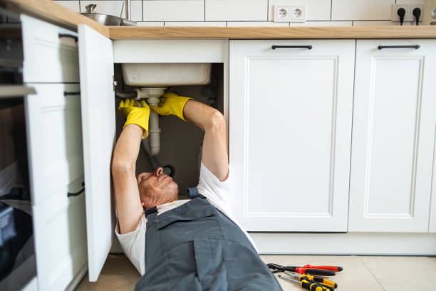Best Sprinkler Systems  in Vernon Hls, IL